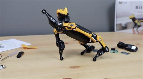 pitoy robot|Meet Bittle, an Advanced Open.